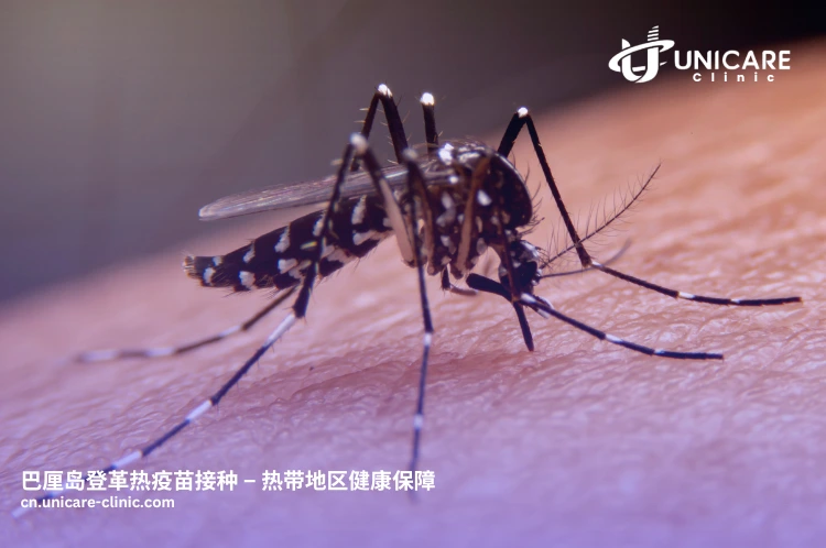 旅客在 Unicare Clinic 接种登革热疫苗，适合长期停留者。