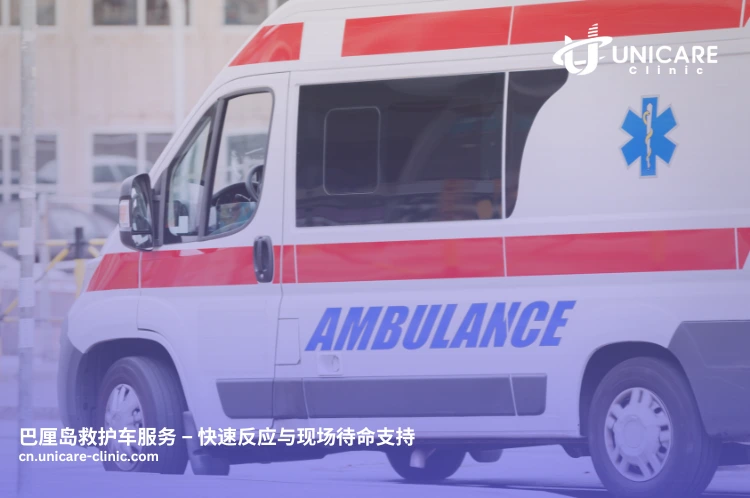 Unicare Clinic 救护车准备出发，为游客提供紧急医疗转运。